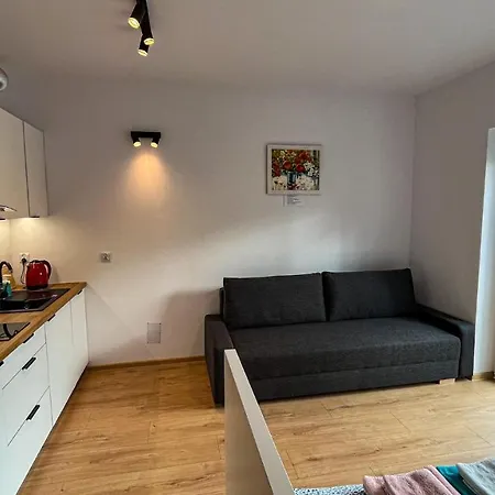 Centrum „bengal Cat” * Люблин